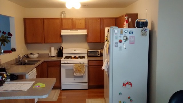 809 Symphony Dr, Aurora, IL 60504 photo 4