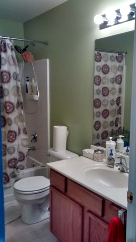 809 Symphony Dr, Aurora, IL 60504 photo 20