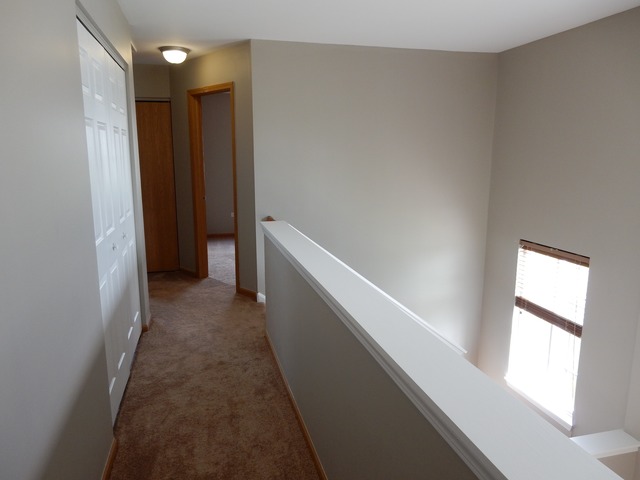1444 Plantain Dr, Minooka, IL 60447 photo 15