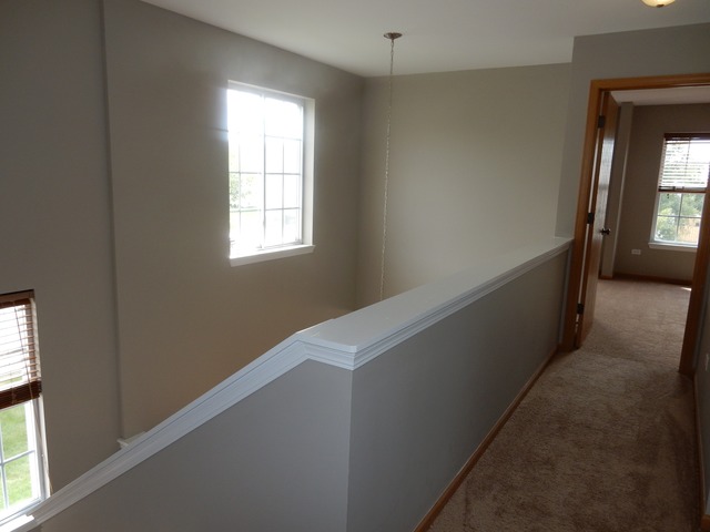 1444 Plantain Dr, Minooka, IL 60447 photo 8