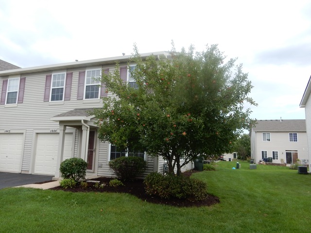 1444 Plantain Dr, Minooka, IL 60447 photo 19