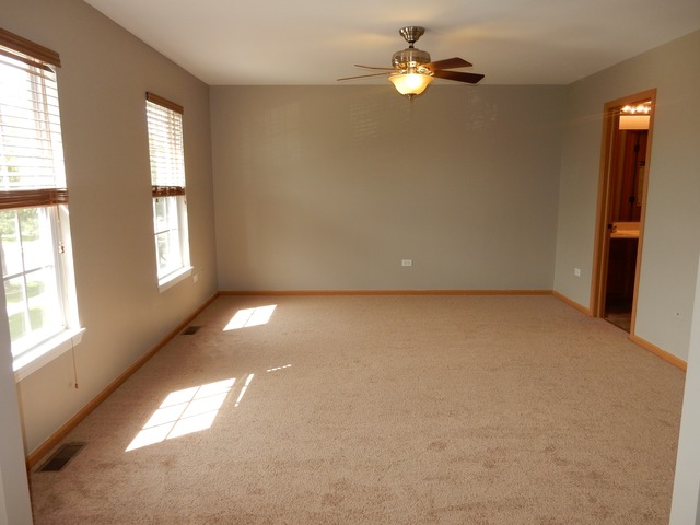 1444 Plantain Dr, Minooka, IL 60447 photo 12