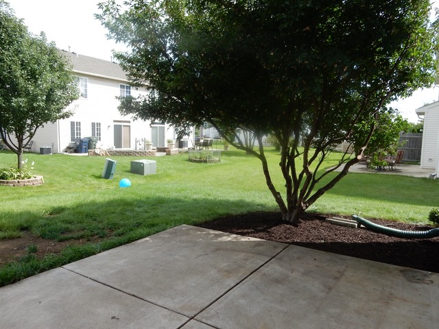 1444 Plantain Dr, Minooka, IL 60447 photo 18