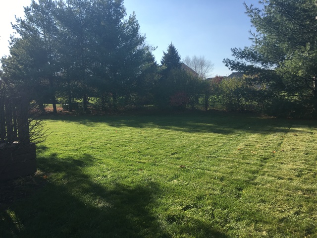 740 Par Dr, Algonquin, IL 60102 photo 4