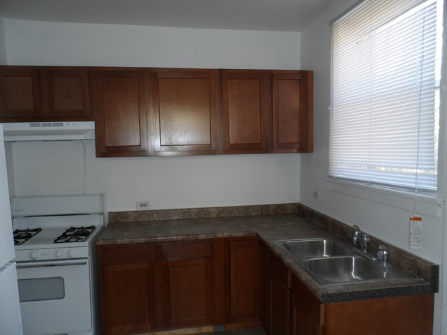 6830 S Clyde Ave, Chicago, IL 60649 photo 8