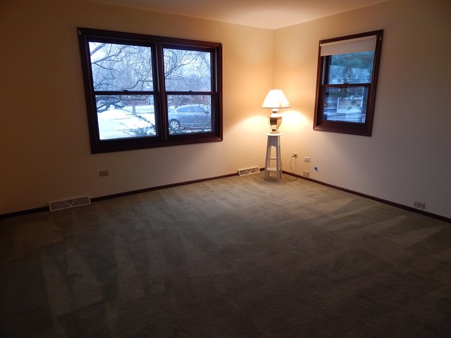 524 Shenandoah Trl, Elgin, IL 60123 photo 7
