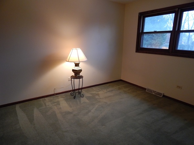 524 Shenandoah Trl, Elgin, IL 60123 photo 8