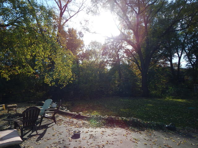 115 Beveridge Ave, Ottawa, IL 61350 photo 22