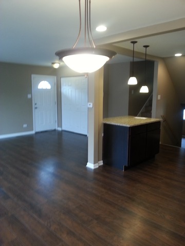 1134 E 151st St, Dolton, IL 60419 photo 3