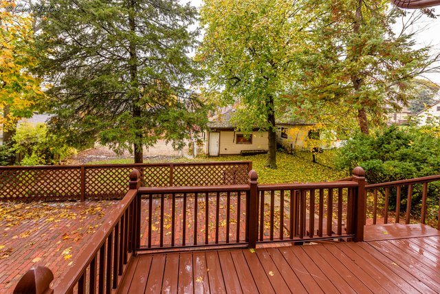 406 S State St, Elgin, IL 60123 photo 23