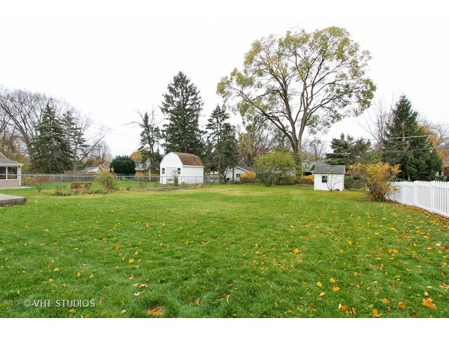 113 E Pine Ave, Roselle, IL 60172 photo 15