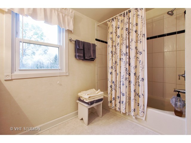 113 E Pine Ave, Roselle, IL 60172 photo 13
