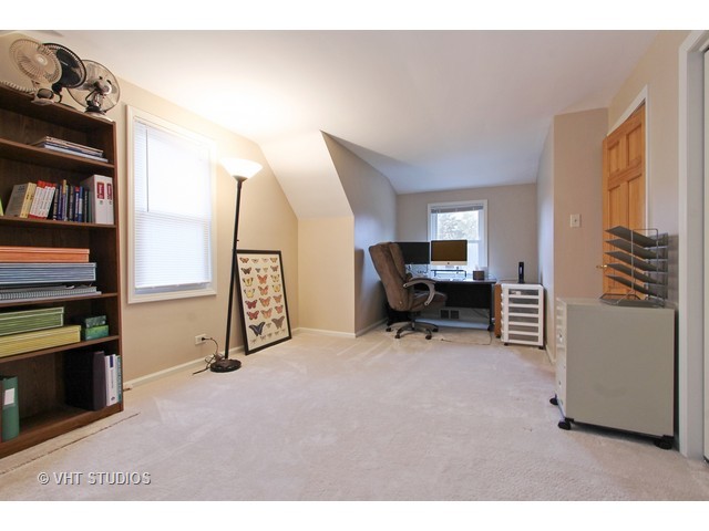 113 E Pine Ave, Roselle, IL 60172 photo 10