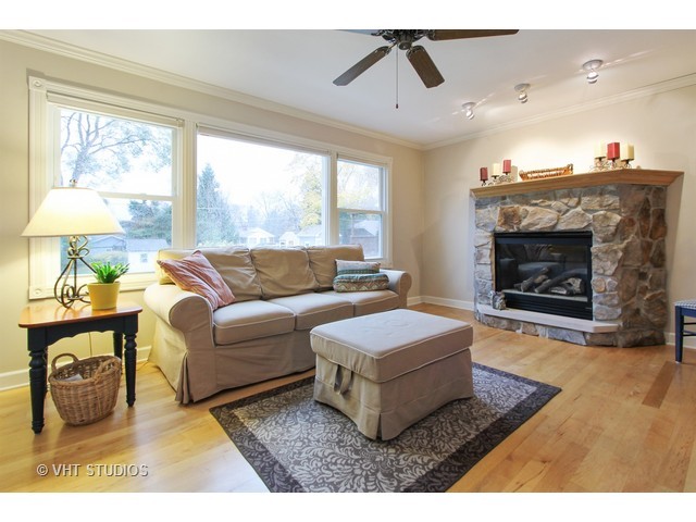 113 E Pine Ave, Roselle, IL 60172 photo 5