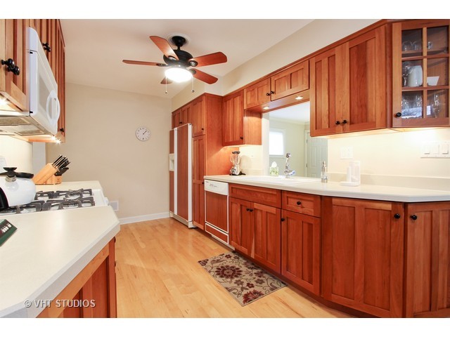 113 E Pine Ave, Roselle, IL 60172 photo 3