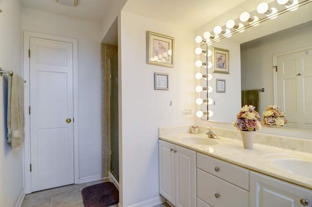 1650 Stonebridge Trl, Wheaton, IL 60189 photo 15