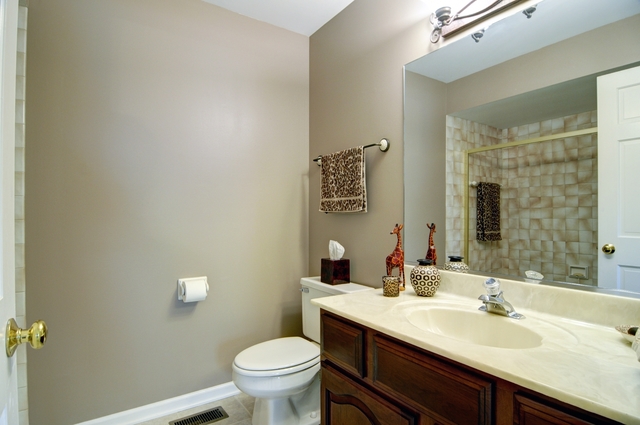 1650 Stonebridge Trl, Wheaton, IL 60189 photo 16