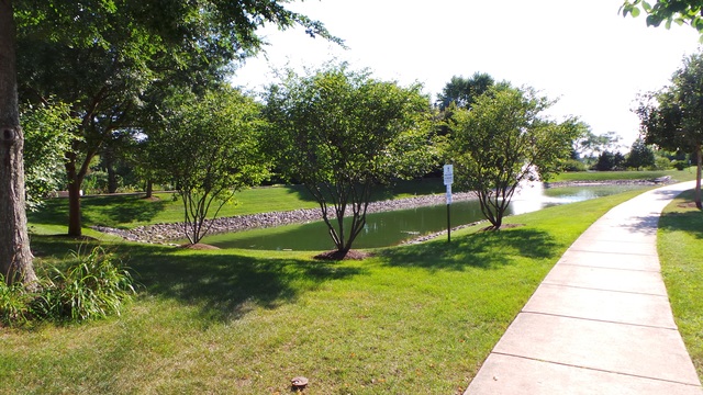 2159 W Silverleaf Ln, Addison, IL 60101 photo 24