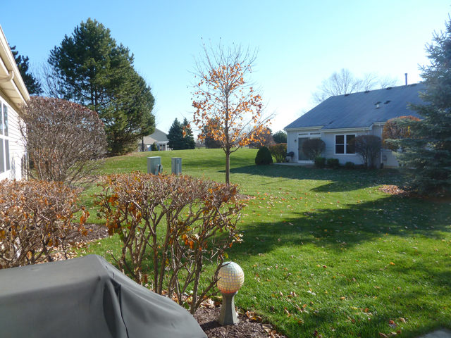 21505 W Empress Ln, Plainfield, IL 60544 photo 16