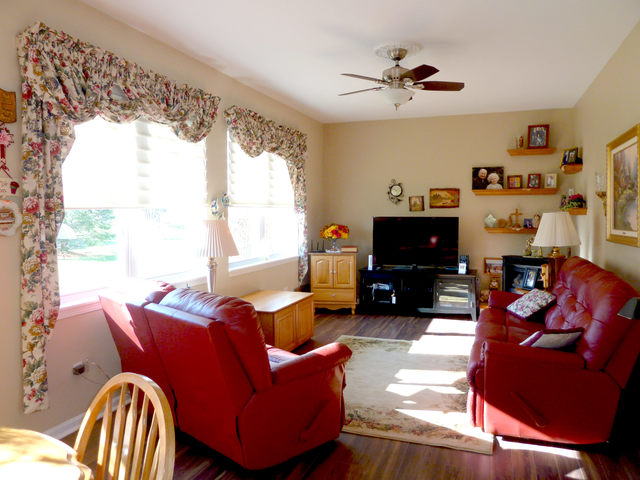 21505 W Empress Ln, Plainfield, IL 60544 photo 9