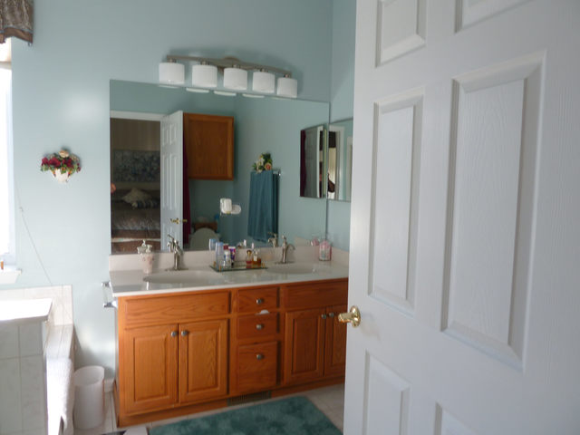 21505 W Empress Ln, Plainfield, IL 60544 photo 13