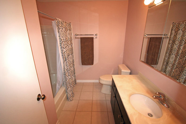 1710 Robin Walk #D, Hoffman Estates, IL 60169 photo 12
