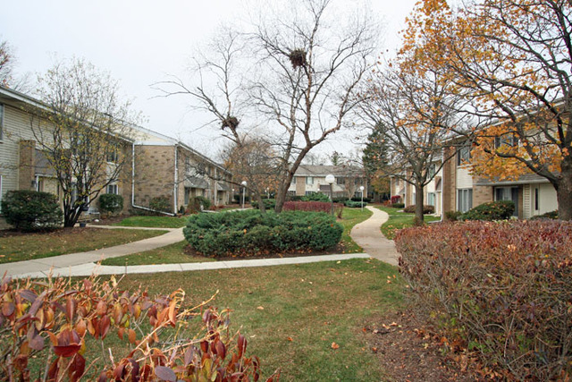 1710 Robin Walk #D, Hoffman Estates, IL 60169 photo 3