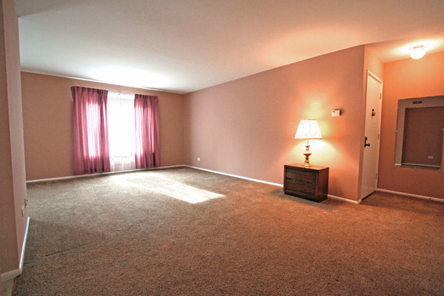1710 Robin Walk #D, Hoffman Estates, IL 60169 photo 6