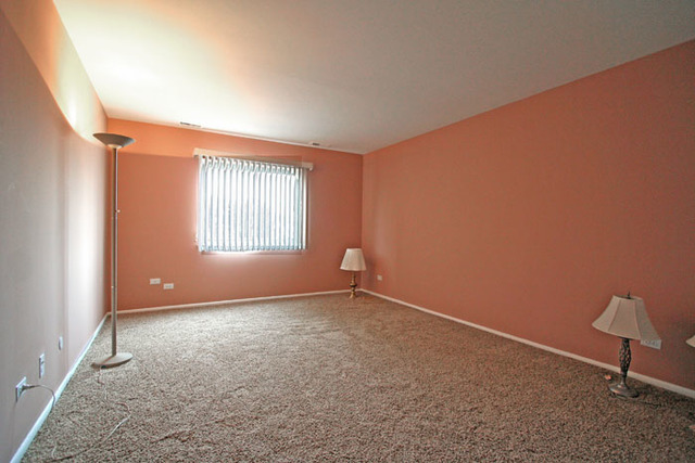 1710 Robin Walk #D, Hoffman Estates, IL 60169 photo 11