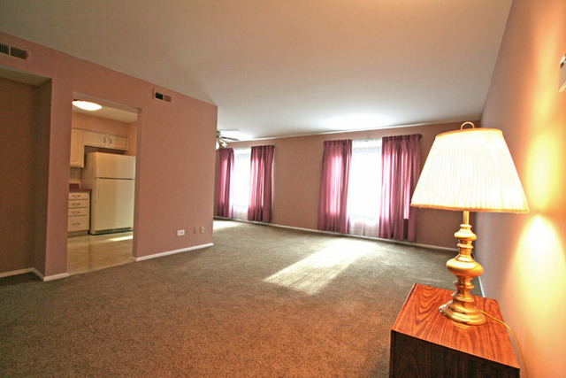 1710 Robin Walk #D, Hoffman Estates, IL 60169 photo 5