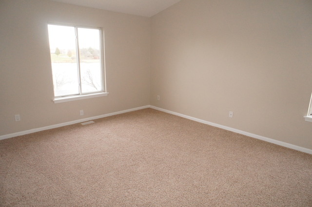 14041 S Lakeridge Dr, Plainfield, IL 60544 photo 15