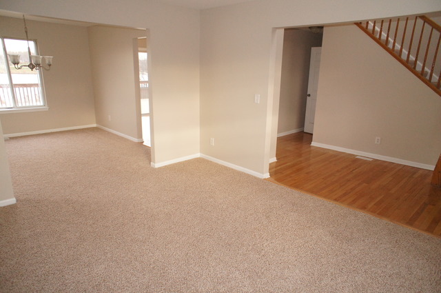 14041 S Lakeridge Dr, Plainfield, IL 60544 photo 9