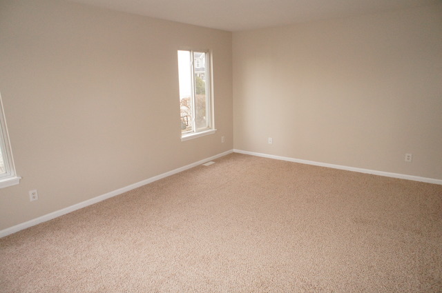14041 S Lakeridge Dr, Plainfield, IL 60544 photo 8