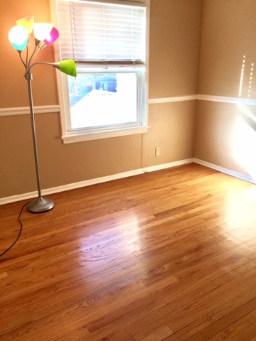 314 Alles Ave, Des Plaines, IL 60016 photo 9