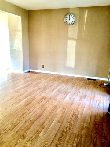 314 Alles Ave, Des Plaines, IL 60016 photo 2