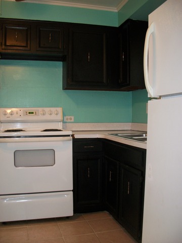 15628 Ridgeway Ave, Markham, IL 60428 photo 5