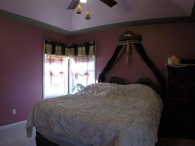 8491 E 124th Pl, Crown Point, IN 46307 photo 13