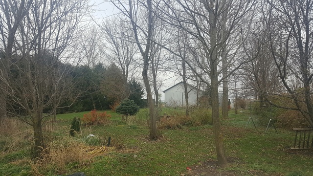 4266 8th Rd, Mendota, IL 61342 photo 7
