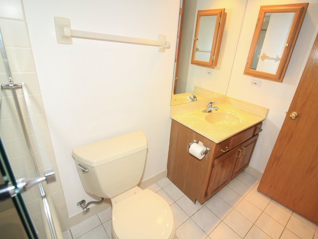 1600 E Thacker St #711, Des Plaines, IL 60016 photo 14