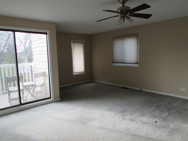 1102 Sandpiper Ct, Bartlett, IL 60103 photo 13