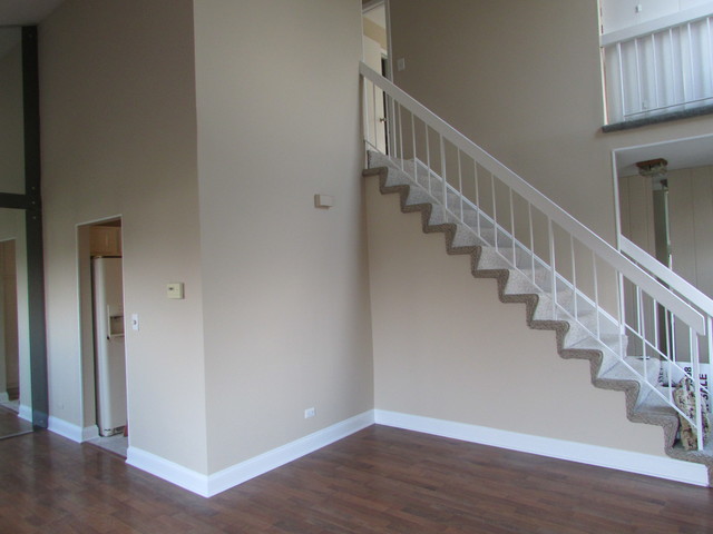 1102 Sandpiper Ct, Bartlett, IL 60103 photo 4