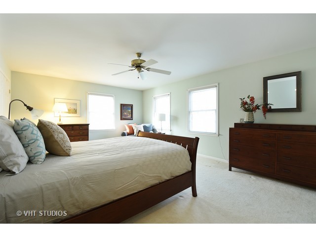 21585 N Sylvander Dr, Deer Park, IL 60010 photo 11