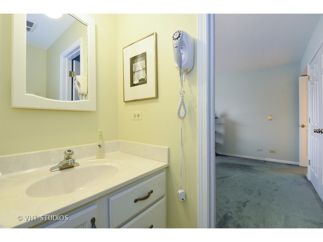 21585 N Sylvander Dr, Deer Park, IL 60010 photo 19