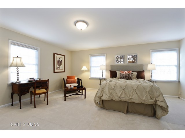 21585 N Sylvander Dr, Deer Park, IL 60010 photo 16