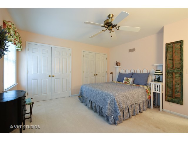 21585 N Sylvander Dr, Deer Park, IL 60010 photo 17