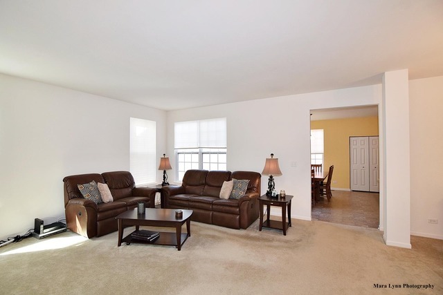 294 Longview Dr, Elgin, IL 60124 photo 7