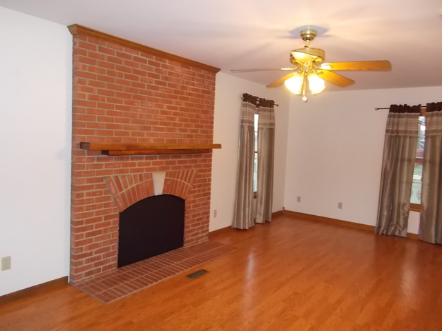 225 W 6th St, Spring Valley, IL 61362 photo 3