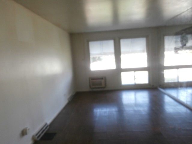 16160 Wolcott Ave, Markham, IL 60428 photo 3