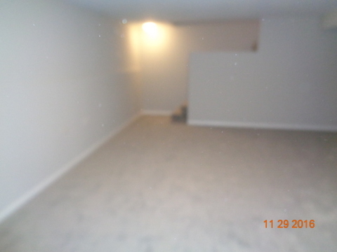800 Barton Ln, Peotone, IL 60468 photo 12