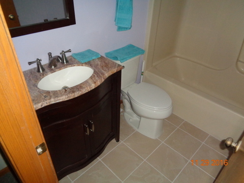 800 Barton Ln, Peotone, IL 60468 photo 18
